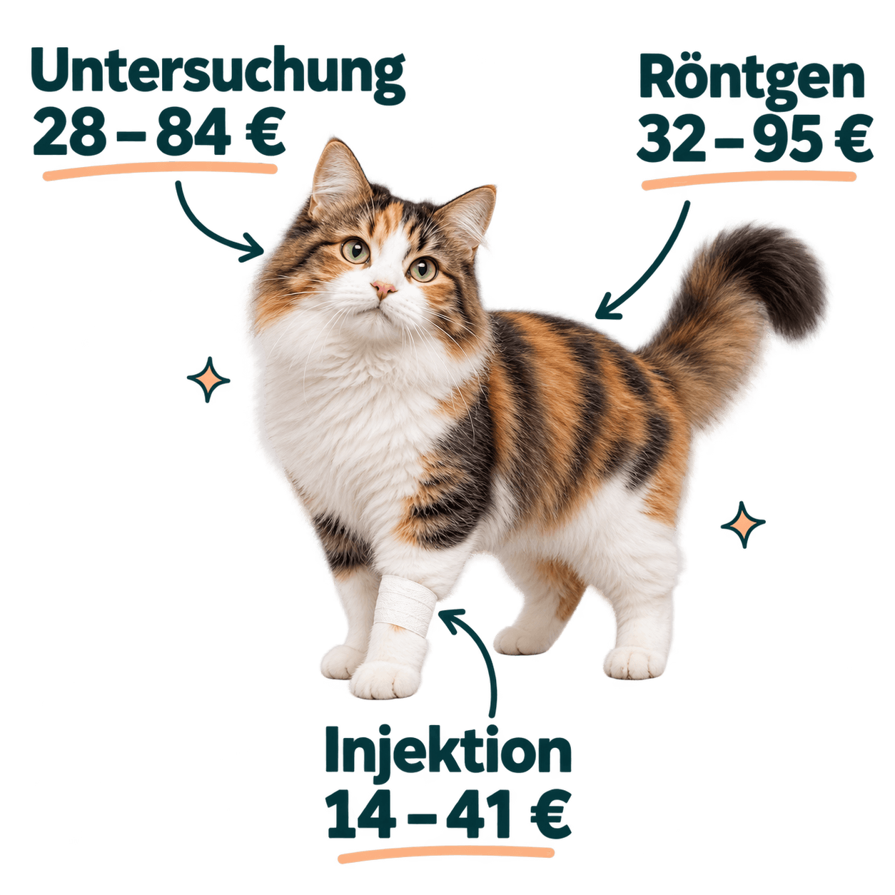 Kostenbeispiele: Untersuchung 28 bis 84 Euro, Röntgen 32 bis 95 Euro, Injektion 14 bis 41 Euro. Eine freigestellte Katze mit kleinem Verband illustriert die einzelnen Leistungen.